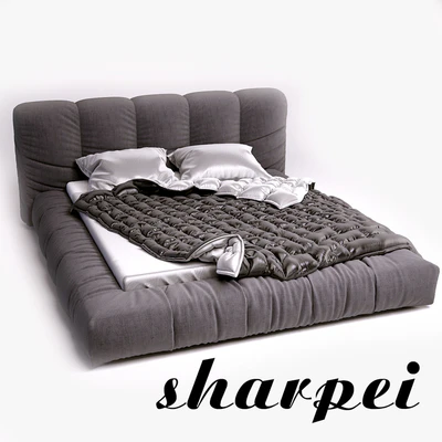 Bed SMA Sharpey — Ver 1