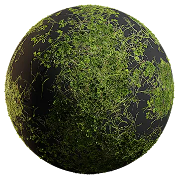scattered grass 001 — Descargar