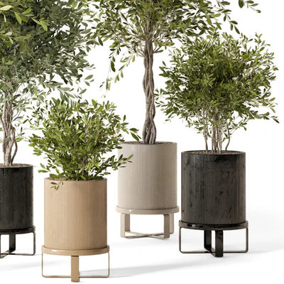 Indoor Plants in Ferm Living Bau Pot Large - Set 354 — Вид 5