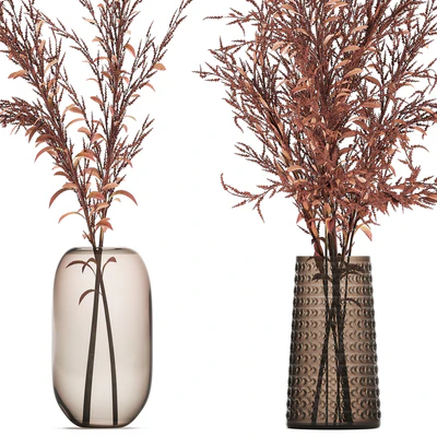 Bouquet of red branches of dried flowers in a glass vase with Goldenrod, Solidago. Set 153. — Ver 6