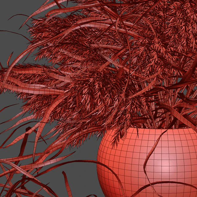Dry herb bouquets in glass vases — Descargar