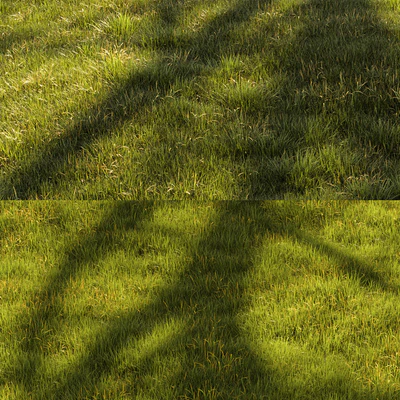 Grass Landscape — View 4
