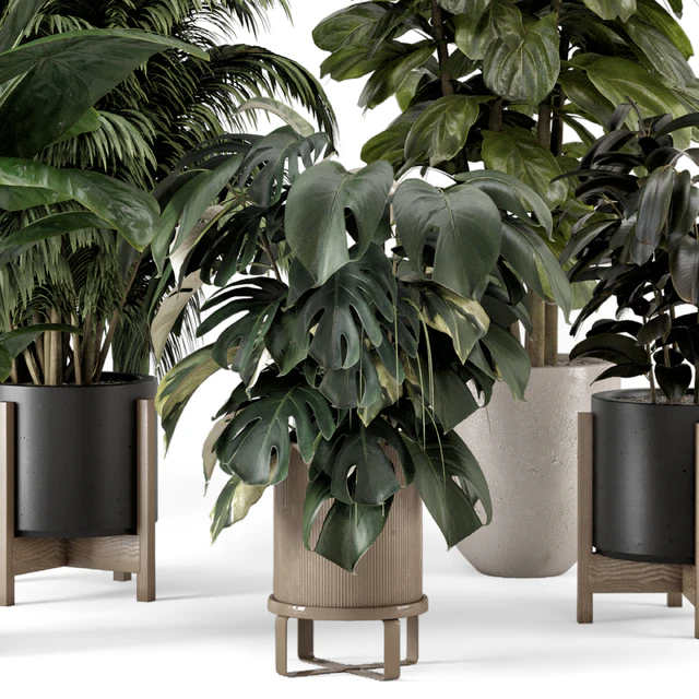 Indoor Plants in Ferm Living Bau Pot Large - Set 1361 — Descargar