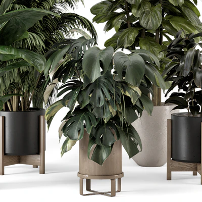 Indoor Plants in Ferm Living Bau Pot Large - Set 1361 — Ver 7
