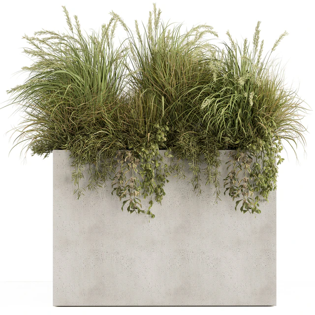 Plant Box - Outdoor Plants 480 — Descargar