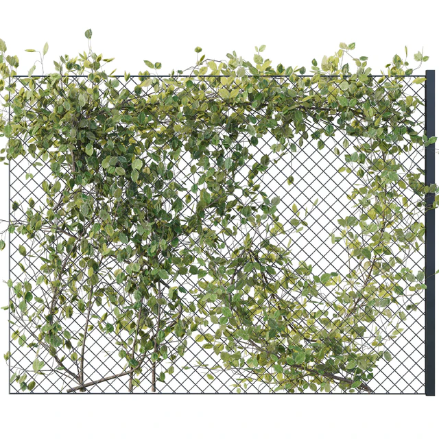 Ivy on Fence 02 — Скачать