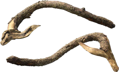old tree branch 008 — Скачать
