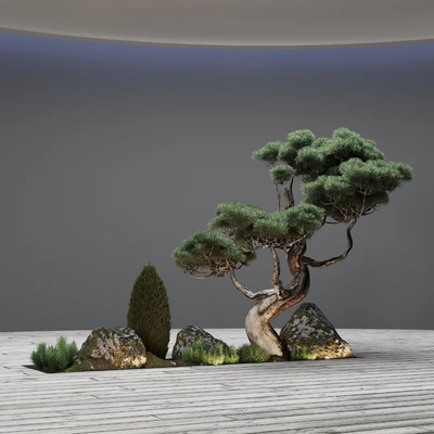 Decor with pine — Ver 6