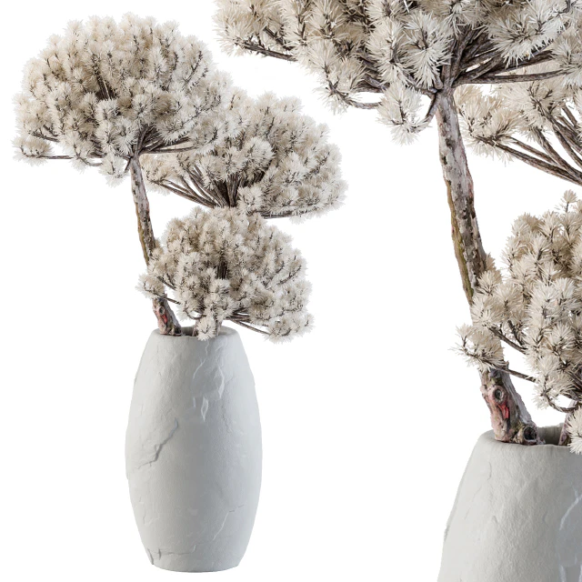 Dry Decorative Plant — Скачать
