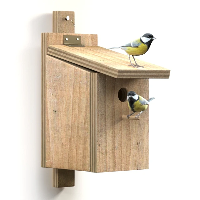 Great Tits at artificial nest — Descargar