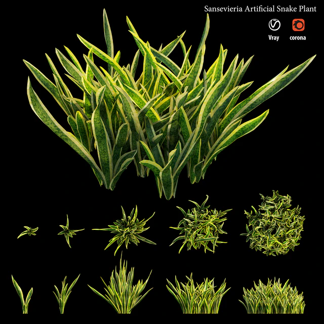 Sansevieria artificial snake plant — Descargar