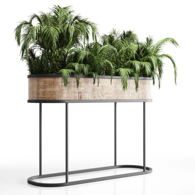 collection Indoor plant palm 40-bax wood vase — скачать