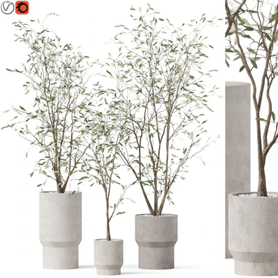 Plants collection 900 — Вид 1