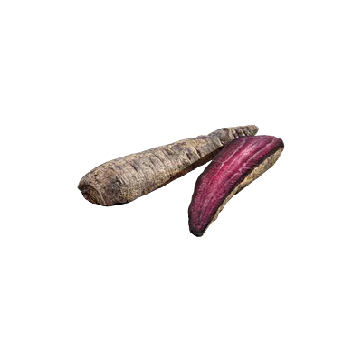 food vegetable carrot purple 001 — Скачать
