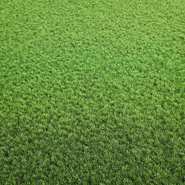 Arch grass 02 — Descargar