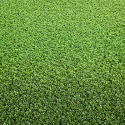 Arch grass 02 — Ver 3
