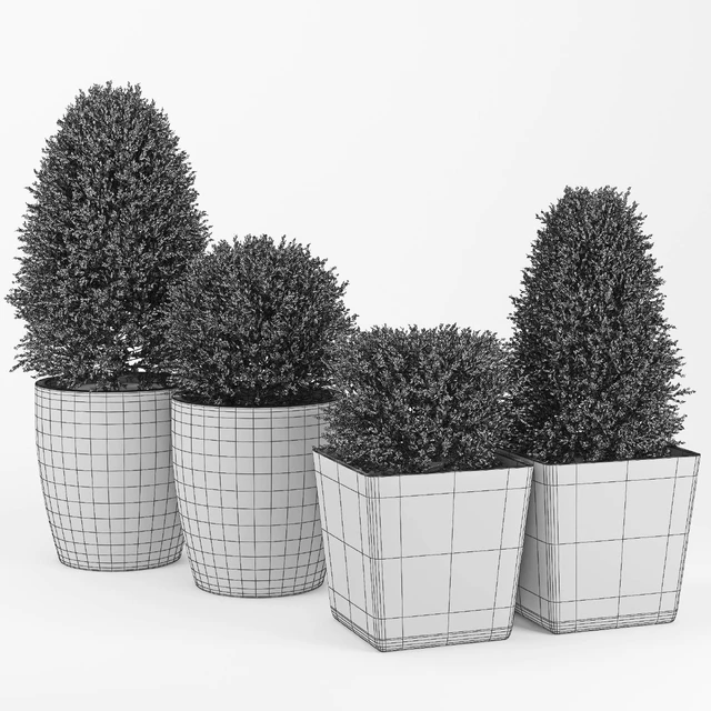 Collection of Plants 3 — Скачать