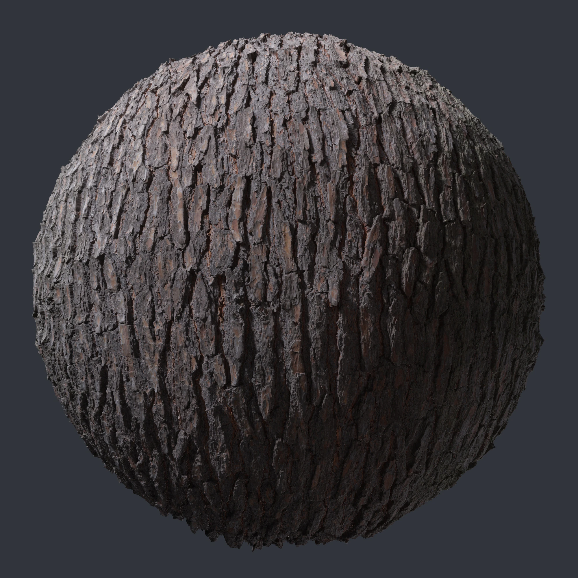 pine bark 004 — Download