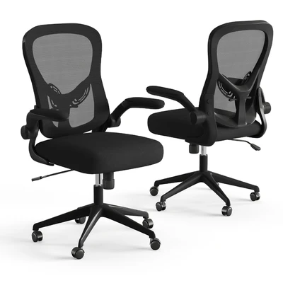 Xiaomi HBADA Ergonomic Double-Waisted Computer Chair HDNY163WM — Ver 7