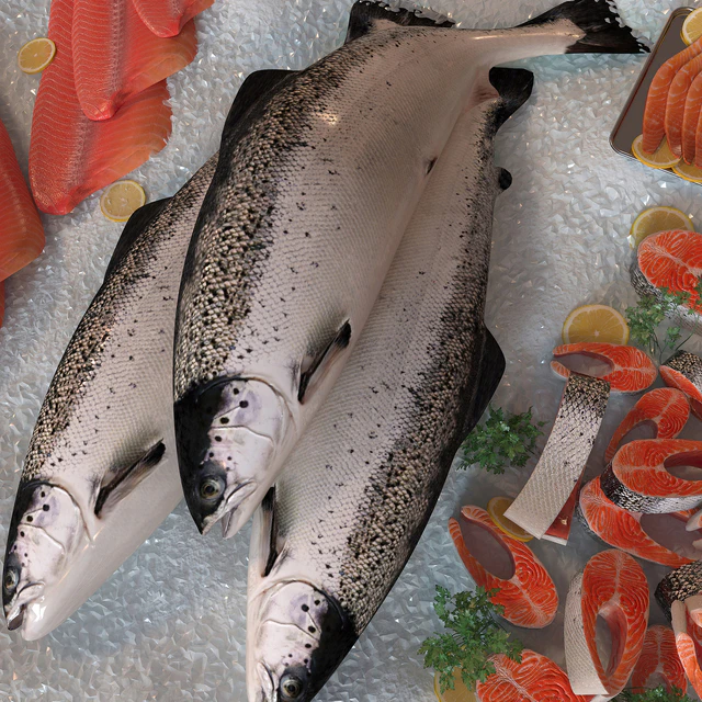 salmon set — Descargar