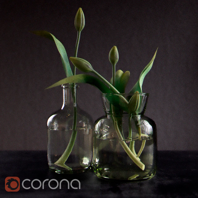 Green tulips — Скачать