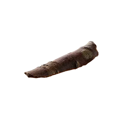 tree debris 012 — Скачать