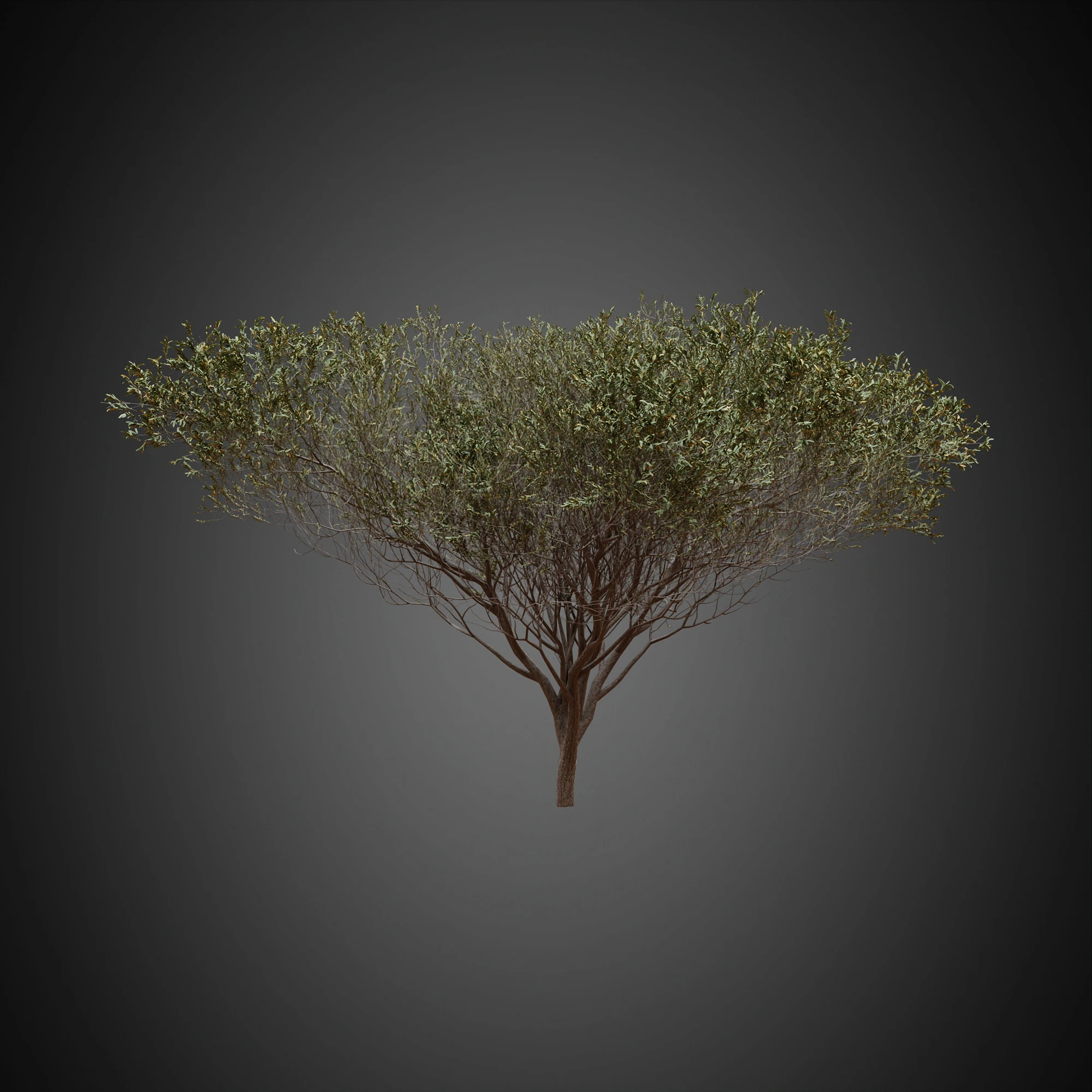 007 — Скачать