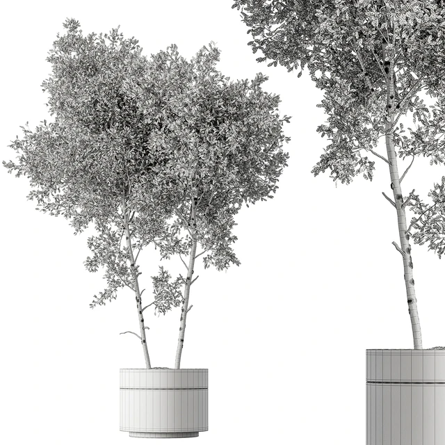 Outdoor Plants 472 - Tree in Pot — Descargar
