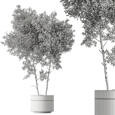 Outdoor Plants 472 - Tree in Pot — Ver 2