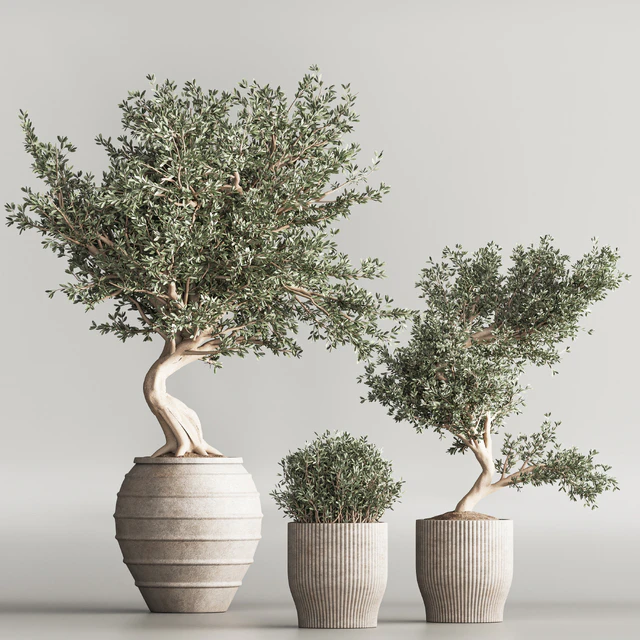 Indoor Plant Set 53 — Descargar