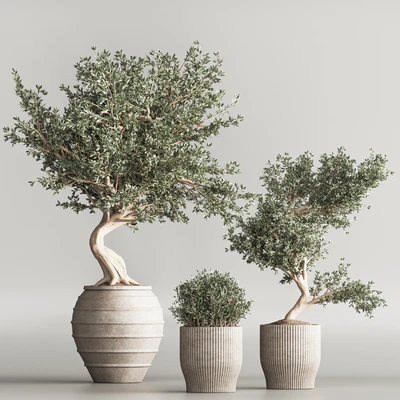Indoor Plant Set 53 — Ver 6
