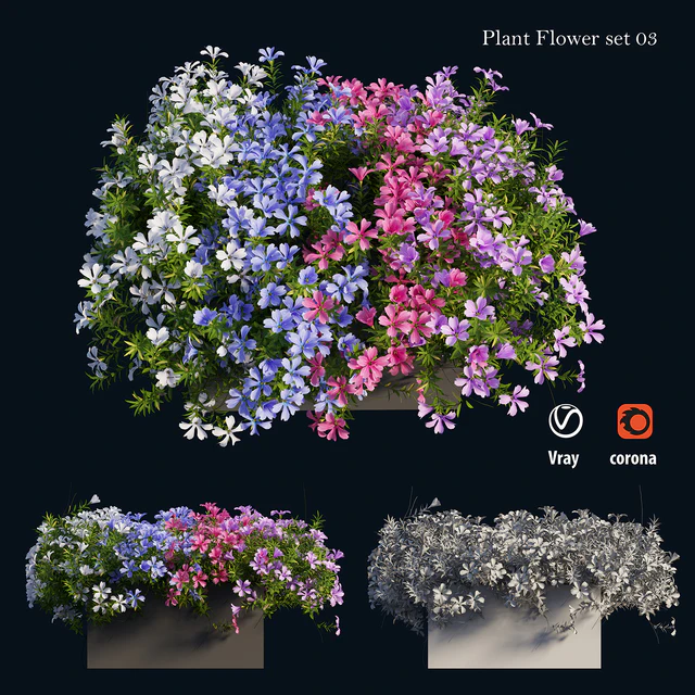 Plant Flower set 03 — Descargar