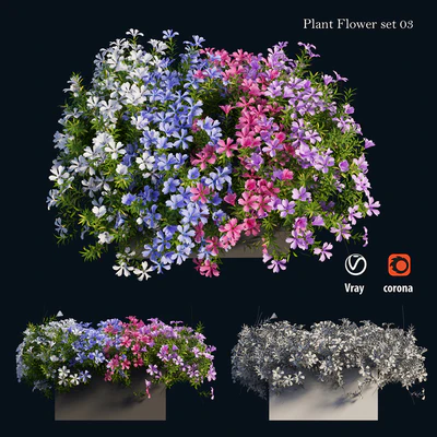 Plant Flower set 03 — Ver 1