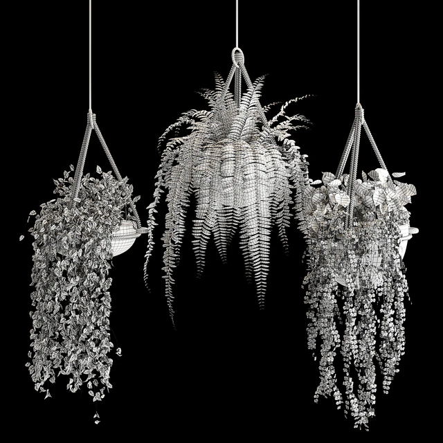 Indoor plant collection 02 — Descargar