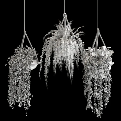 Indoor plant collection 02 — Ver 4