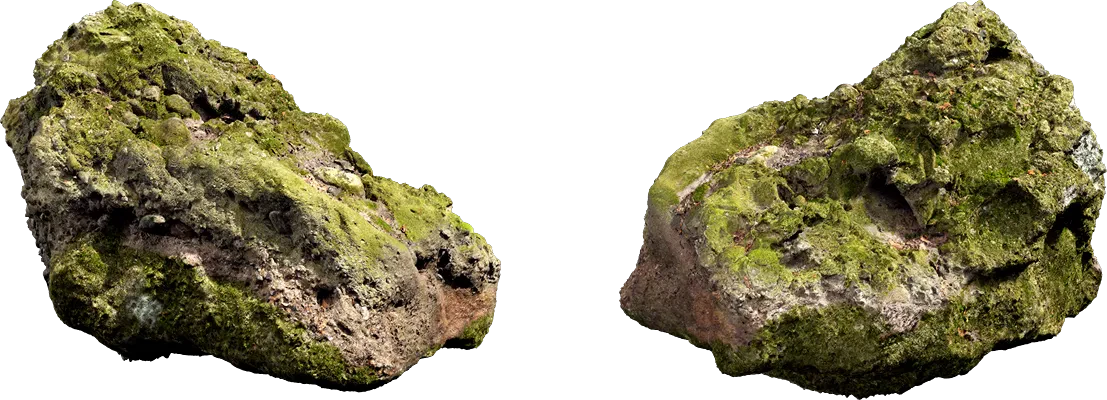 mossy forest rock 014 — Скачать