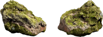 mossy forest rock 014 — Скачать
