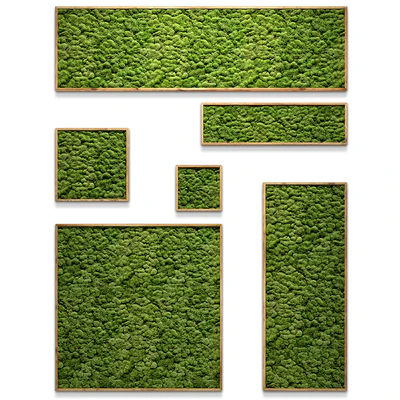 Framed moss — Ver 1