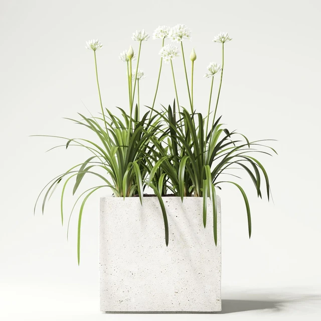 plant — Descargar