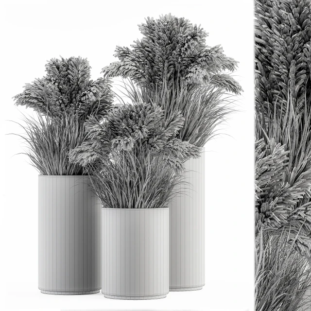 indoor Plant Set 224 -Big Pampas — Скачать
