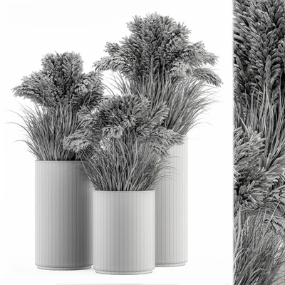 indoor Plant Set 224 -Big Pampas — Вид 4