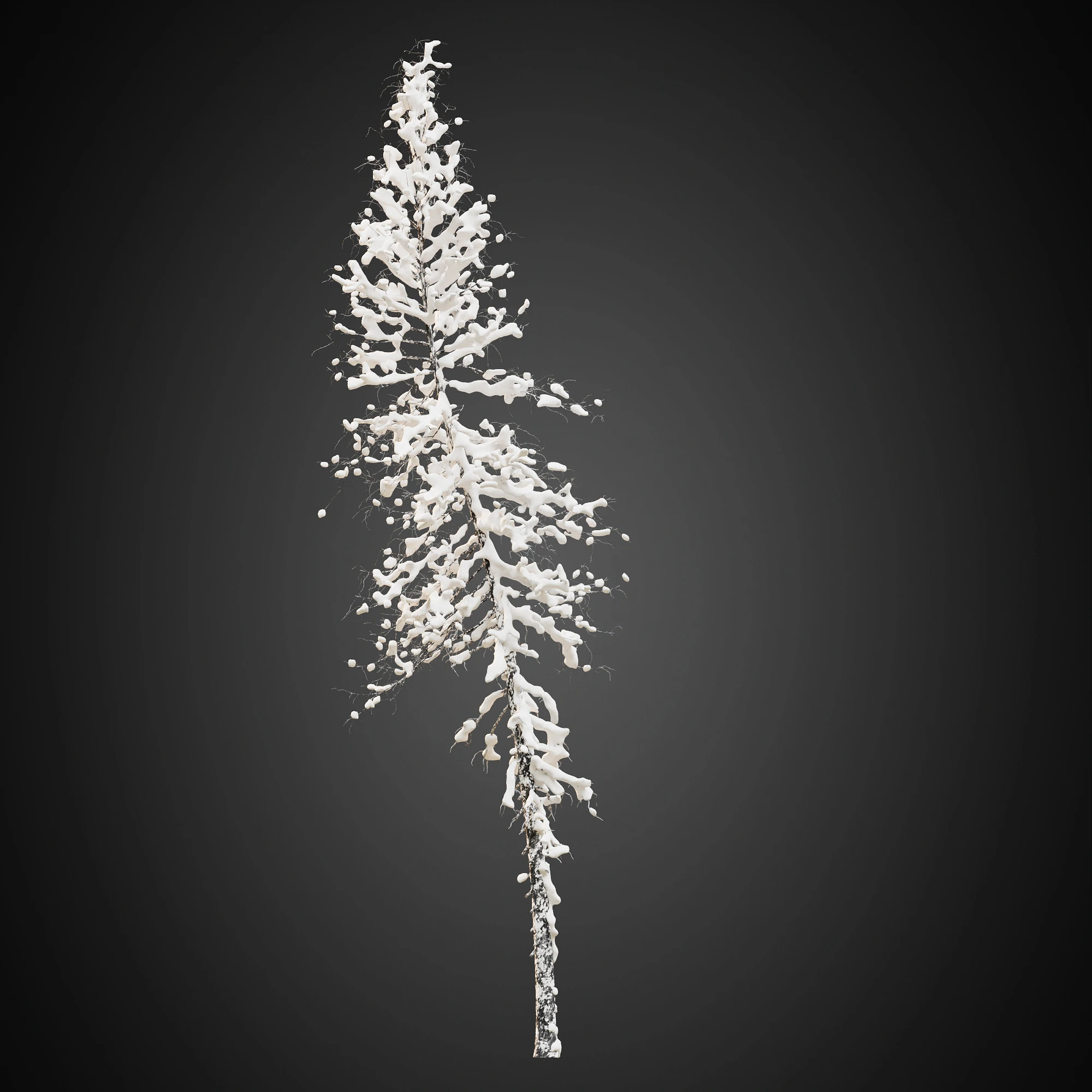 017 — Скачать