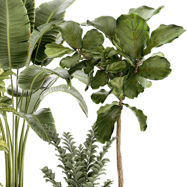 Plant collection 1407 — Descargar