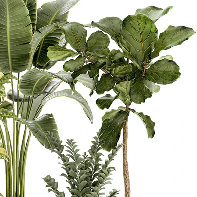 Plant collection 1407 — Ver 6