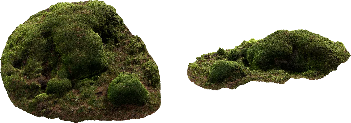 mossy mounds 002 — Скачать