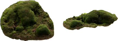 mossy mounds 002 — Скачать