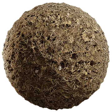 grass dried 023 — Скачать