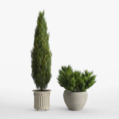 prescott planter set — Вид 4