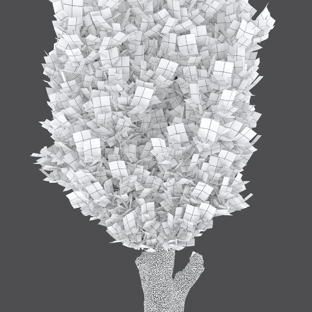 Italian cypress 04 — Descargar