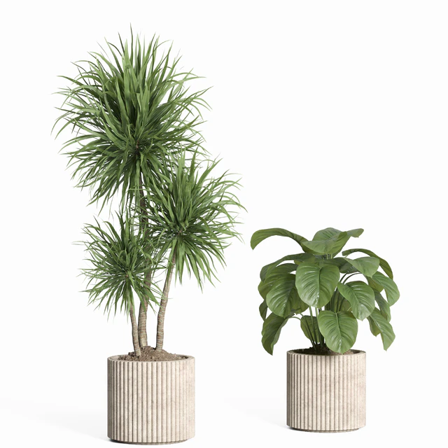 indoor plant set 59-Concrete pot — Descargar